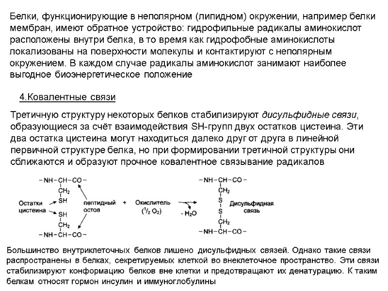 Белки, функционирующие в неполярном (липидном) окружении, например белки мембран, имеют обратное устройство: гидрофильные радикалы